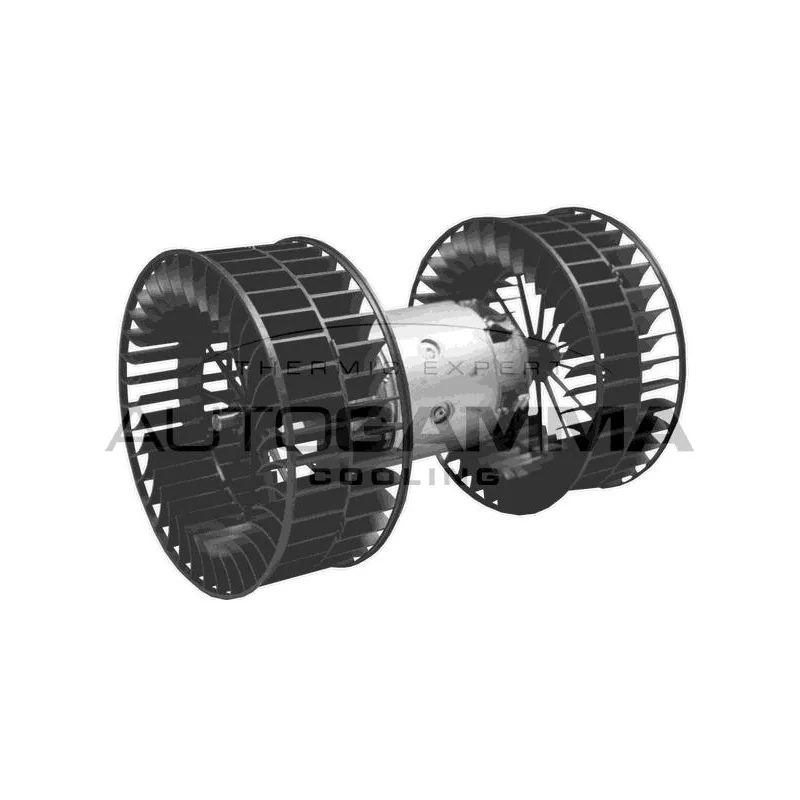 Pulseur d'air habitacle AUTOGAMMA GA20100