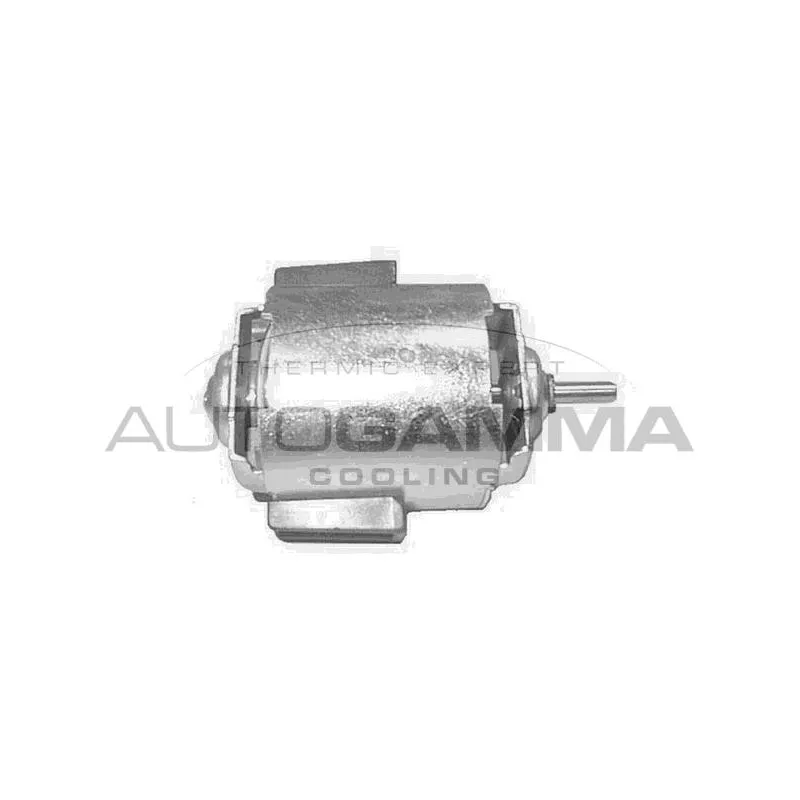 Pulseur d'air habitacle AUTOGAMMA GA20112
