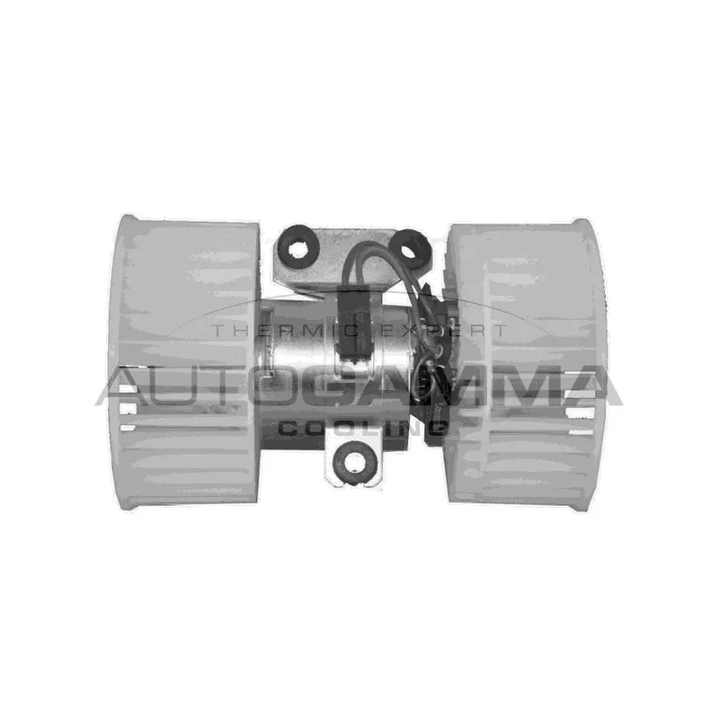 Pulseur d'air habitacle AUTOGAMMA GA20118