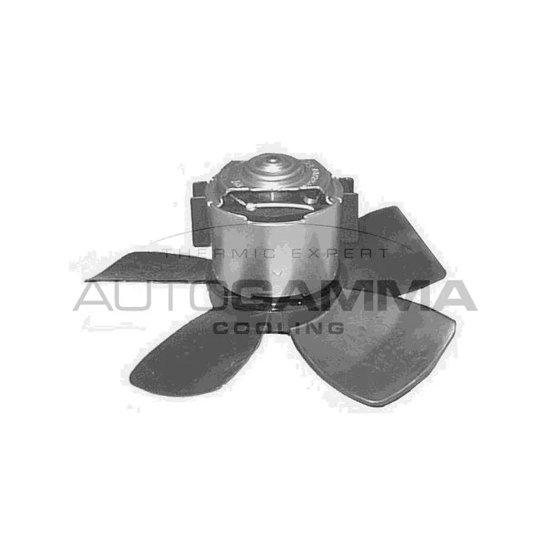 Pulseur d'air habitacle AUTOGAMMA GA20130