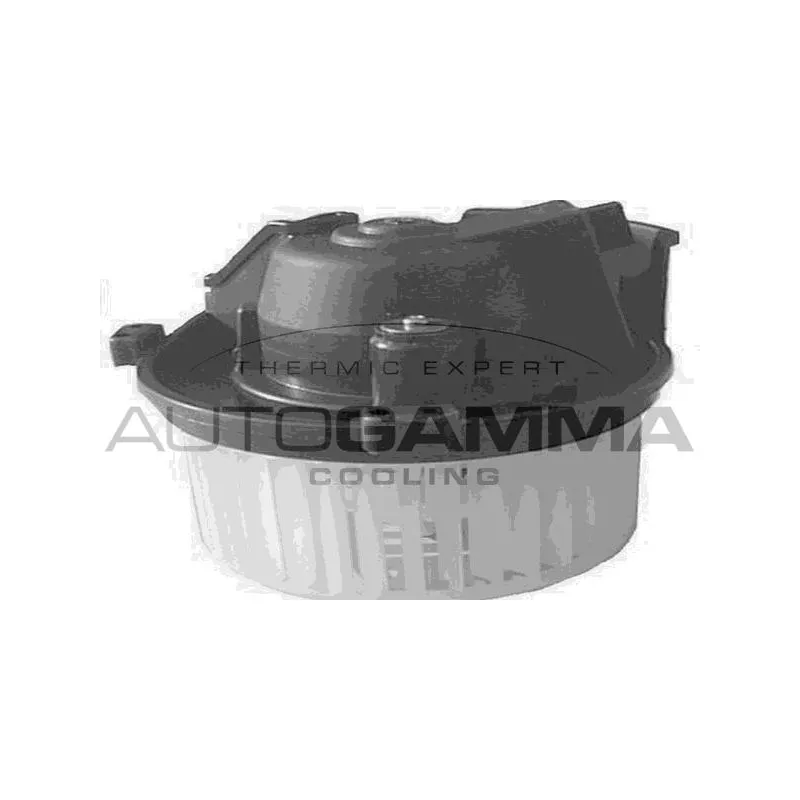 Pulseur d'air habitacle AUTOGAMMA GA20153