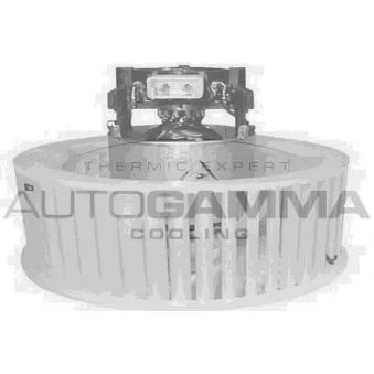 Pulseur d'air habitacle AUTOGAMMA GA20154