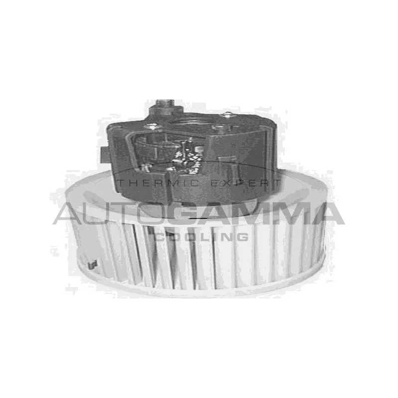 Pulseur d'air habitacle AUTOGAMMA GA20159