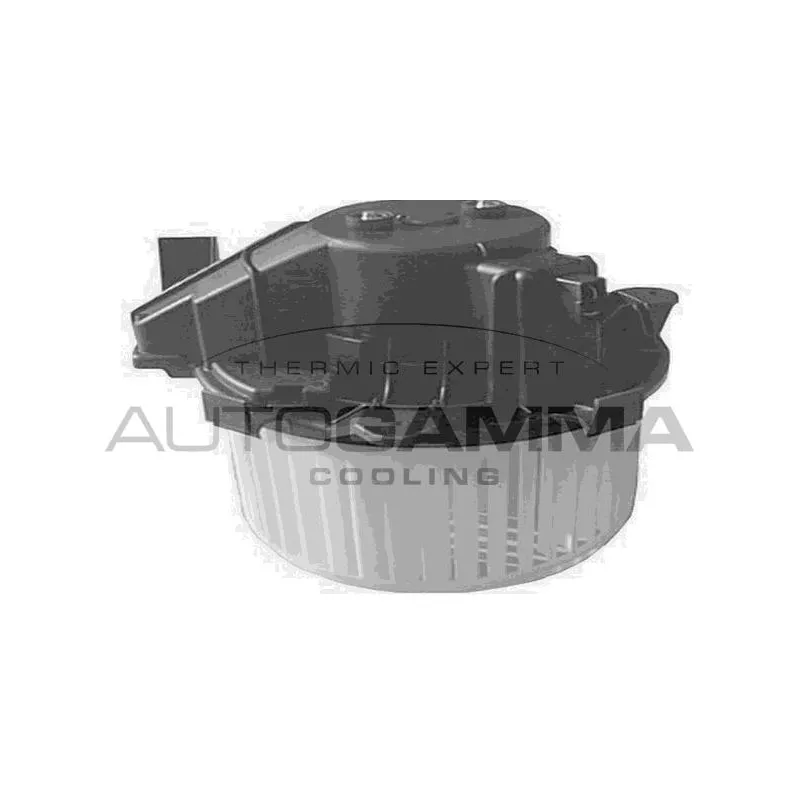 Pulseur d'air habitacle AUTOGAMMA GA20174