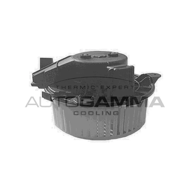 Pulseur d'air habitacle AUTOGAMMA GA20175