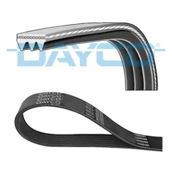 Courroie trapézoïdale à nervures DAYCO 3PK905
