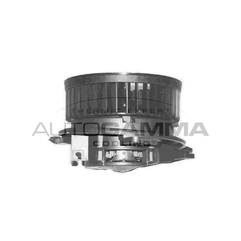 Pulseur d'air habitacle AUTOGAMMA GA20324