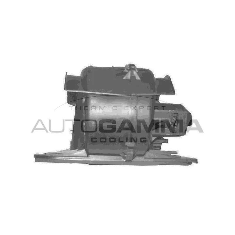 Pulseur d'air habitacle AUTOGAMMA GA20328