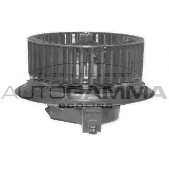 Pulseur d'air habitacle AUTOGAMMA GA20336