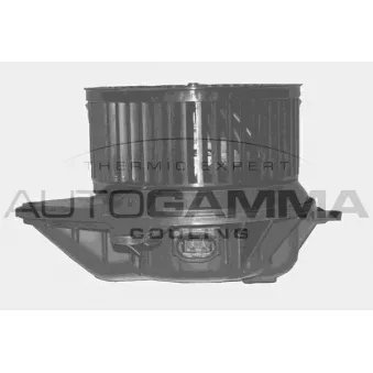 Pulseur d'air habitacle AUTOGAMMA GA20338