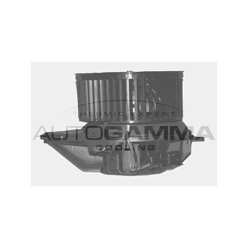 Pulseur d'air habitacle AUTOGAMMA GA20339