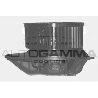 Pulseur d'air habitacle AUTOGAMMA GA20343