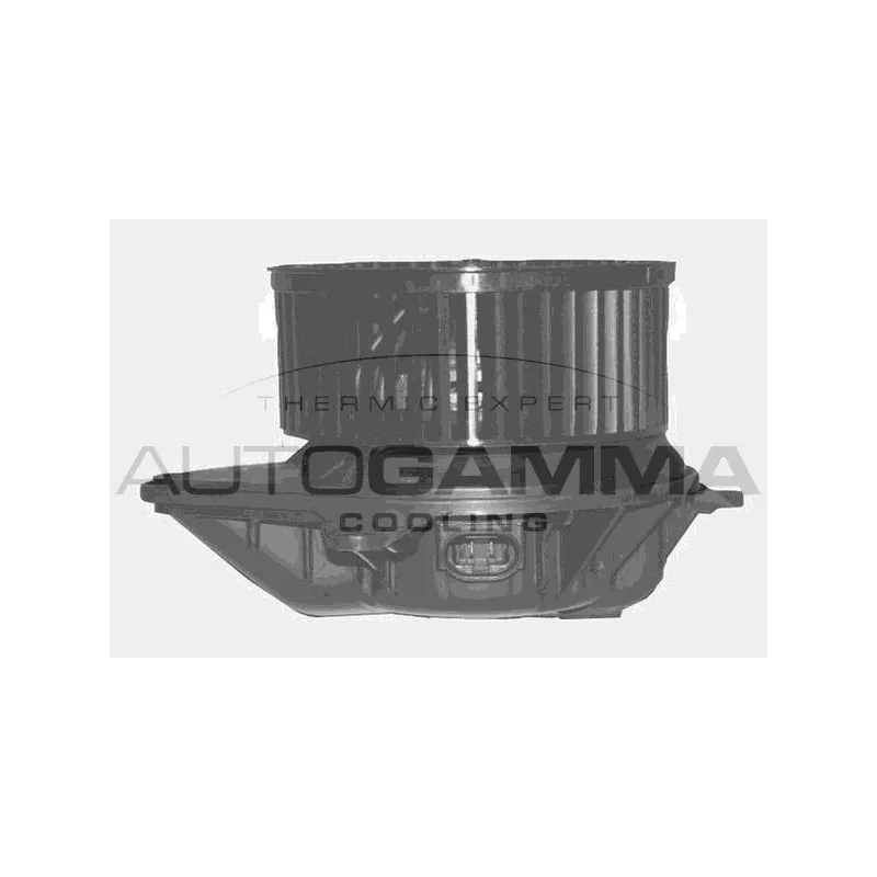 Pulseur d'air habitacle AUTOGAMMA GA20343