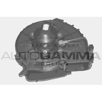 Pulseur d'air habitacle AUTOGAMMA GA20354