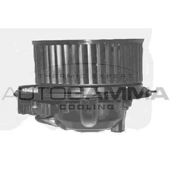 Pulseur d'air habitacle AUTOGAMMA GA20365