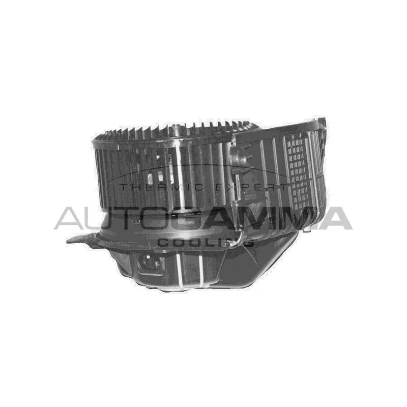 Pulseur d'air habitacle AUTOGAMMA GA20366