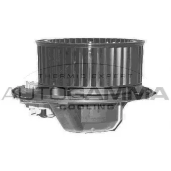 Pulseur d'air habitacle AUTOGAMMA GA20370