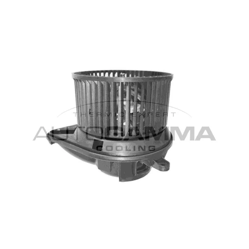 Pulseur d'air habitacle AUTOGAMMA GA20372
