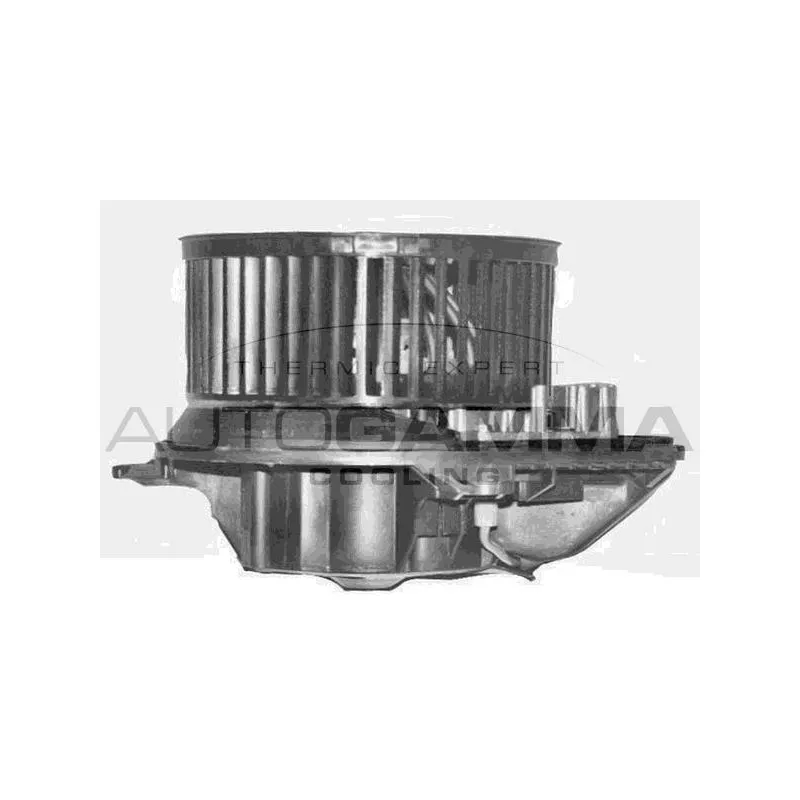 Pulseur d'air habitacle AUTOGAMMA GA20374