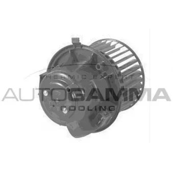 Pulseur d'air habitacle AUTOGAMMA GA20376