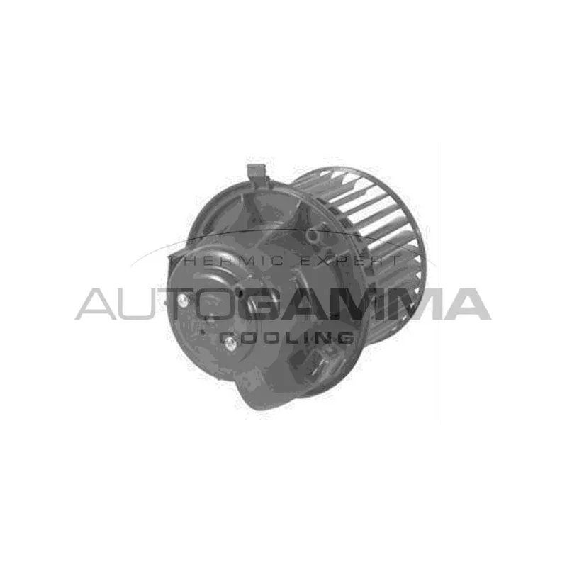 Pulseur d'air habitacle AUTOGAMMA GA20376