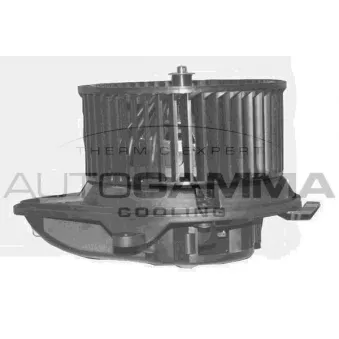 Pulseur d'air habitacle AUTOGAMMA GA20377