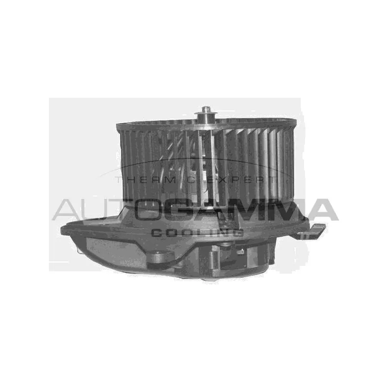 Pulseur d'air habitacle AUTOGAMMA GA20377