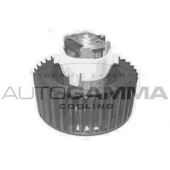 Pulseur d'air habitacle AUTOGAMMA GA20407