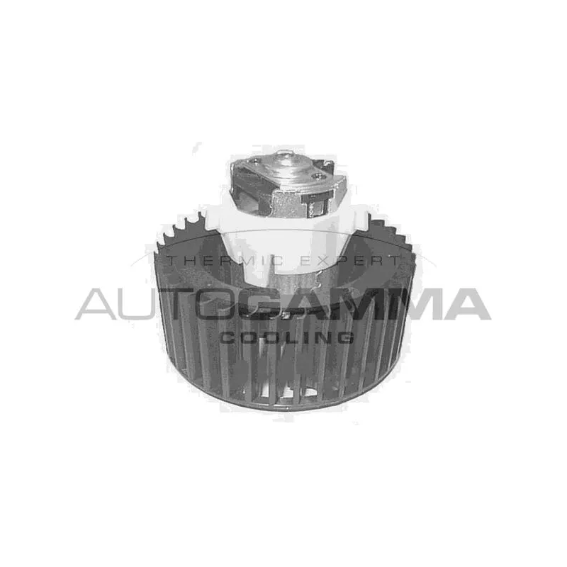 Pulseur d'air habitacle AUTOGAMMA GA20407