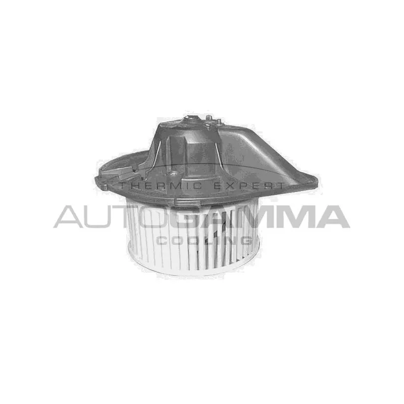 Pulseur d'air habitacle AUTOGAMMA GA20550