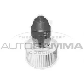 Pulseur d'air habitacle AUTOGAMMA GA20551