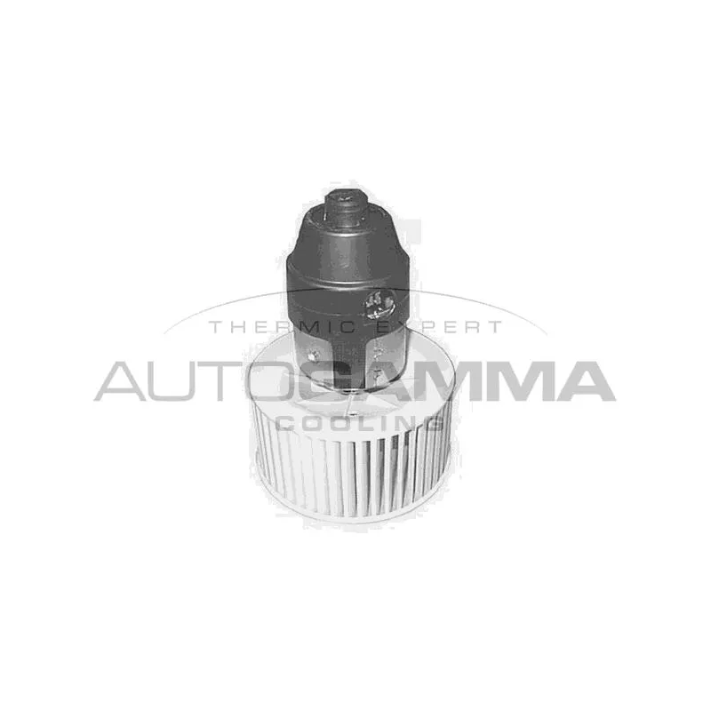 Pulseur d'air habitacle AUTOGAMMA GA20551