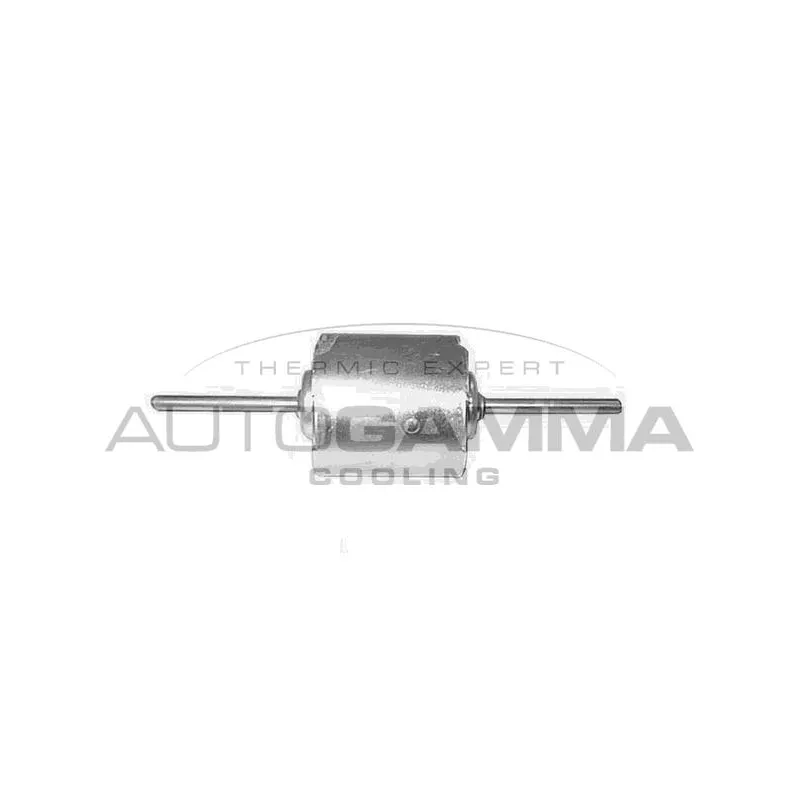 Pulseur d'air habitacle AUTOGAMMA GA20650