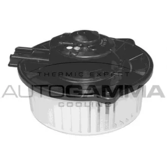 Pulseur d'air habitacle AUTOGAMMA GA20801