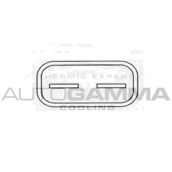 Ventilateur, refroidissement du moteur AUTOGAMMA GA220636
