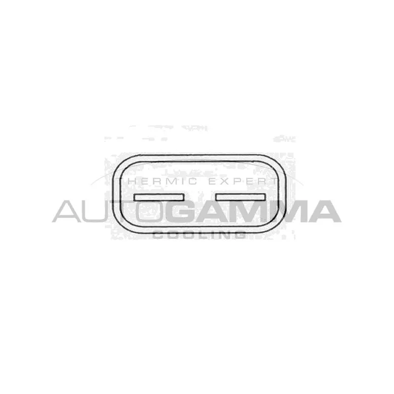 Ventilateur, refroidissement du moteur AUTOGAMMA GA220636