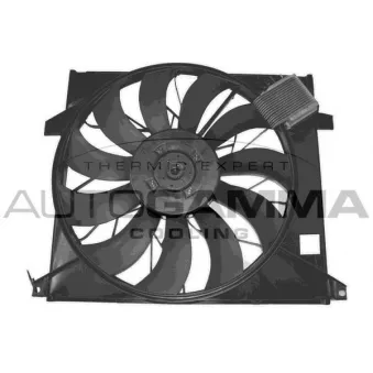 Ventilateur, refroidissement du moteur AUTOGAMMA GA226007