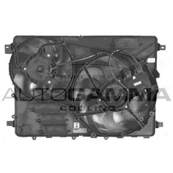Ventilateur, refroidissement du moteur AUTOGAMMA GA229005