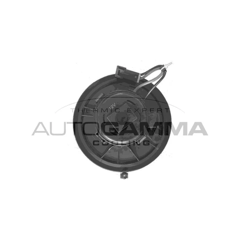 Pulseur d'air habitacle AUTOGAMMA GA30005