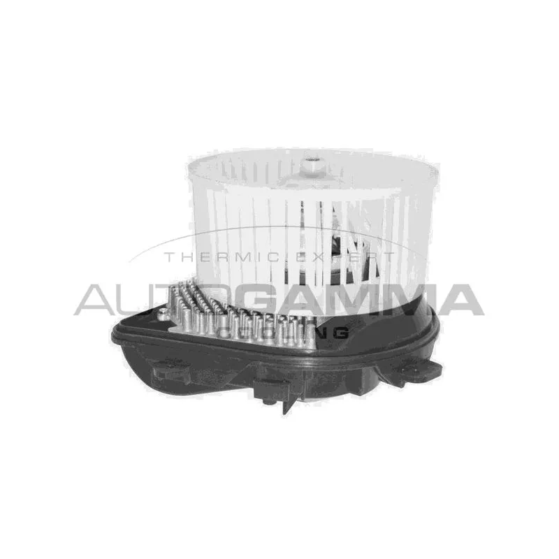 Pulseur d'air habitacle AUTOGAMMA GA30600