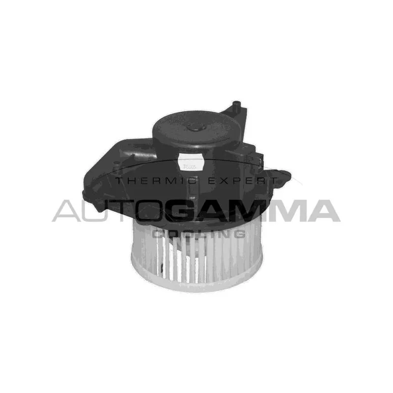 Pulseur d'air habitacle AUTOGAMMA GA30605