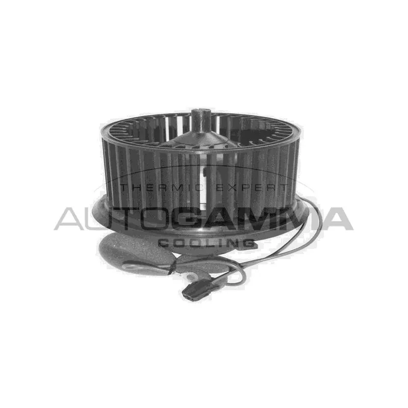 Pulseur d'air habitacle AUTOGAMMA GA31000