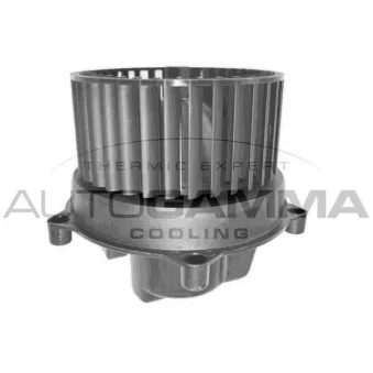 Pulseur d'air habitacle AUTOGAMMA GA31004