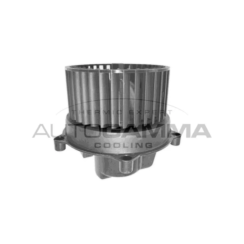 Pulseur d'air habitacle AUTOGAMMA GA31004