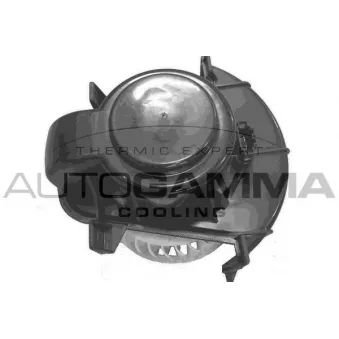 Pulseur d'air habitacle AUTOGAMMA GA31008