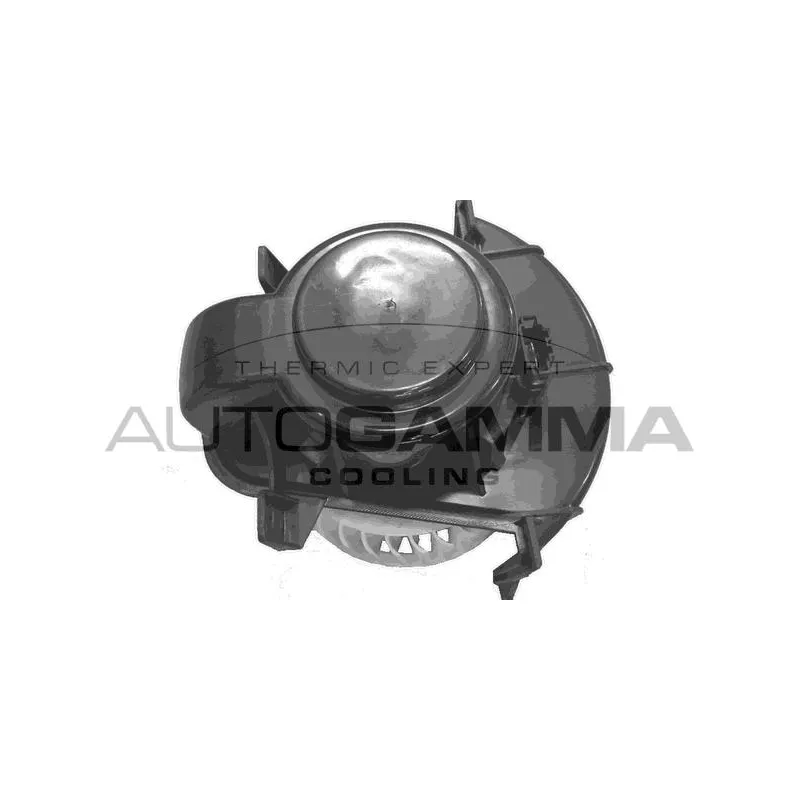 Pulseur d'air habitacle AUTOGAMMA GA31008