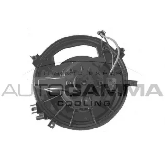 Pulseur d'air habitacle AUTOGAMMA GA31011