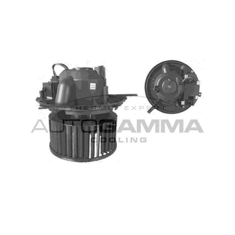 Pulseur d'air habitacle AUTOGAMMA GA31012