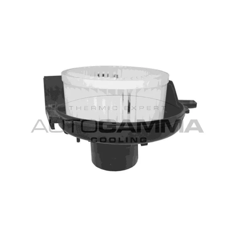Pulseur d'air habitacle AUTOGAMMA GA31300