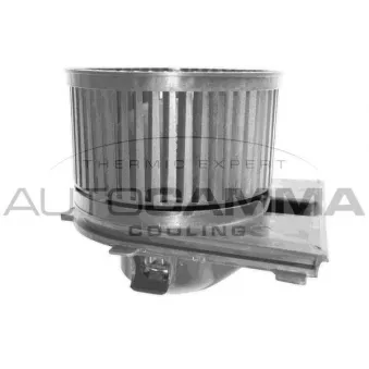 Pulseur d'air habitacle AUTOGAMMA GA31301